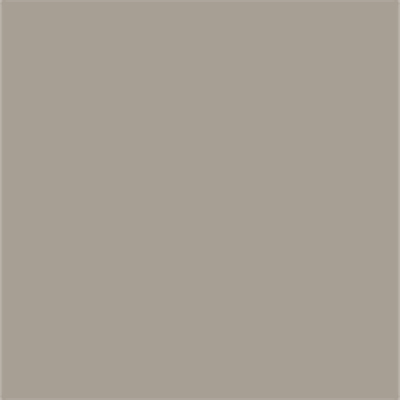The color of art is #A79F94